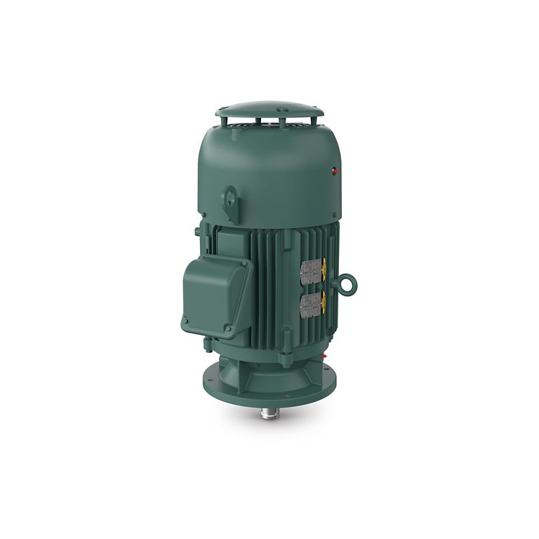 IEEE 841XL Vertical P-base | ABB Baldor-Reliance® | ABB