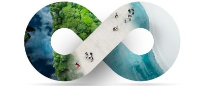 default:asset:description