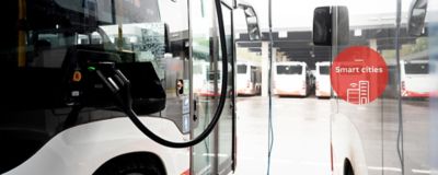 default:asset:description