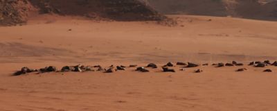 Did_you_know_microsite_v2_TyRap2