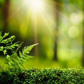 The European Union’s Ecodesign Regulation (EU) 2019/1781 sets efficiency requirements for low voltage induction motors and variable speed drives. The objective is to boost energy efficiency and reduce CO2  emissions. Implementation is in two steps: Step 1 effective from July 1, 2021. Step 2, with a wider scope and increased requirements for motors, effective from July 1, 2023.