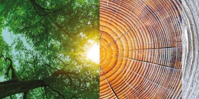 Digitalization and automation are crucial for a sustainable future | ABB