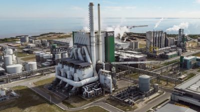 Electrical Control System overhaul achieves zero-issue start-up at Uruguay pulp mill | ABB