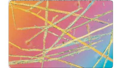 A new language for pulp quality | ABB