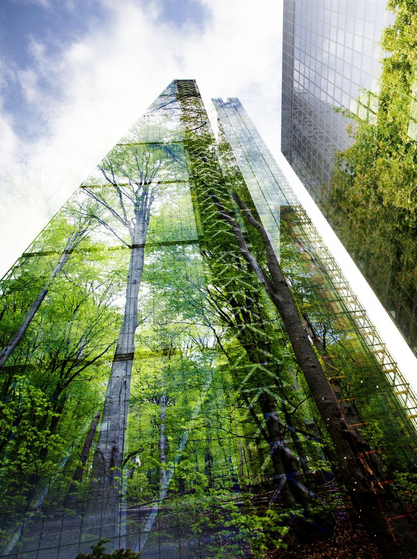 green city - double exposure of lush green forest and modern skyscrapers windows